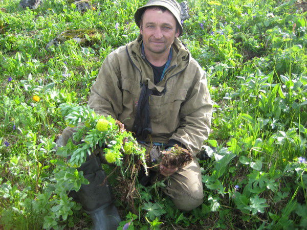 Василий Апонасенко