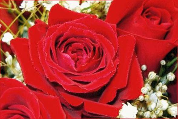 Жадыра Сайрамбаева