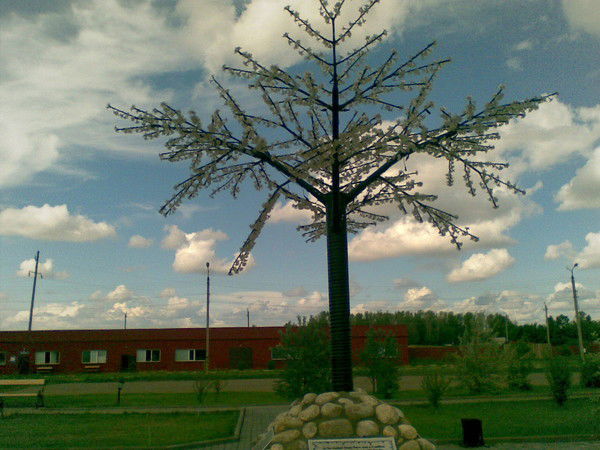 Алёна Васелова