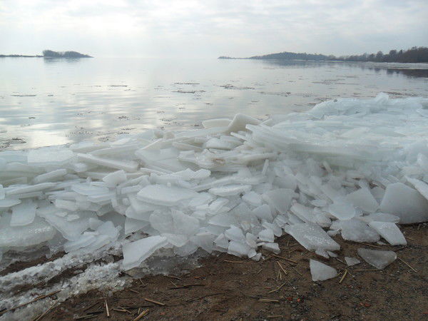 Андрей Становов