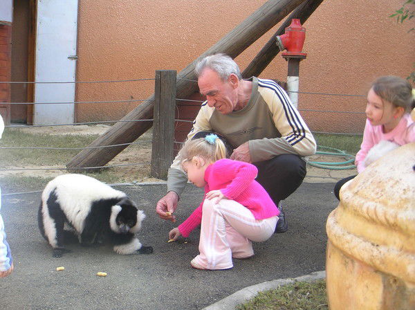 Владимир Левинсон