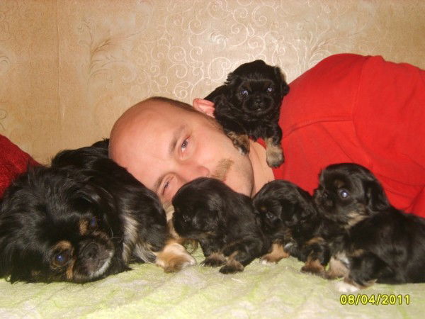 Владимир Щелкун