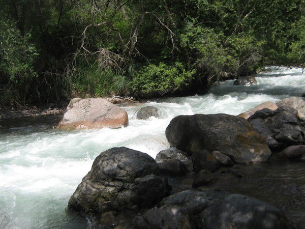 Сергей Пожидаев