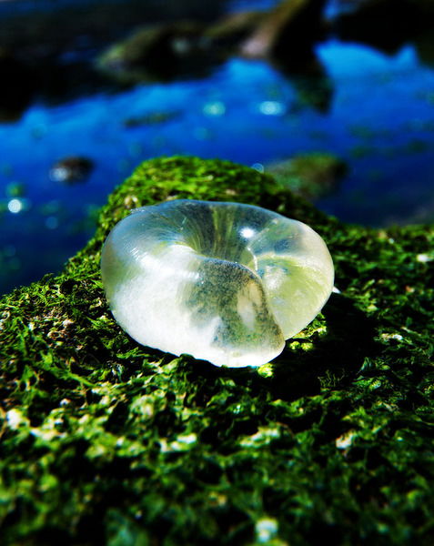 Ирина Иванова