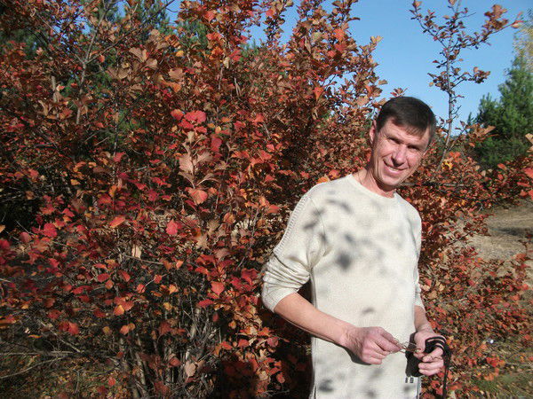 Михаил Дектярев