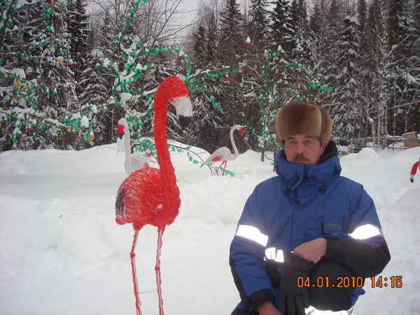 Андрей Некрасов