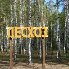 Жанаарка Лесхоз