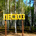 Жанаарка Лесхоз