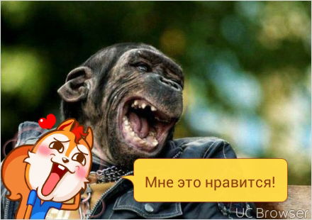 Эйс Вентура