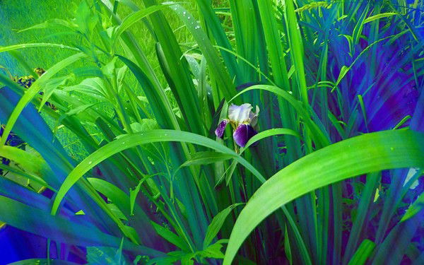 Айгуль Даулеталиева