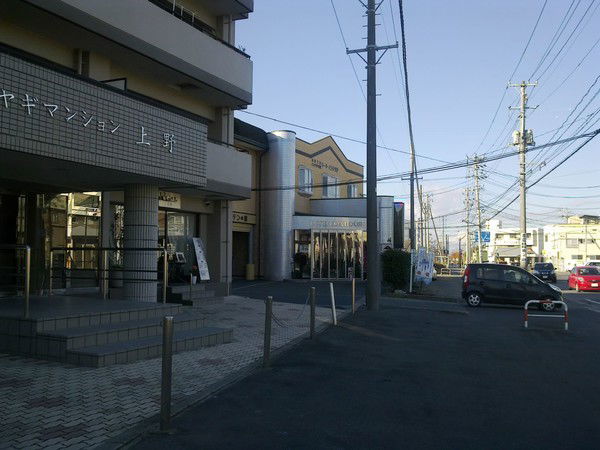 Наталья Обертун