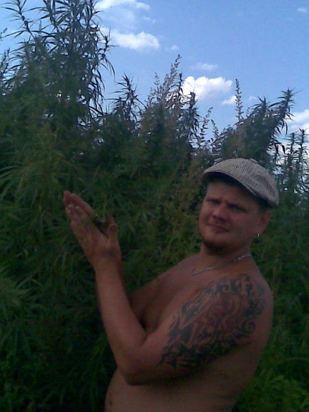 Макс Амосов