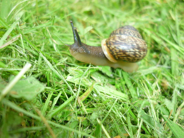 Зинаида Новикова