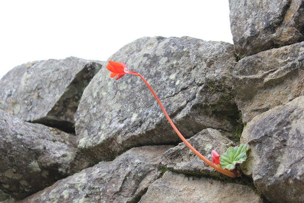 Наталья Соколова