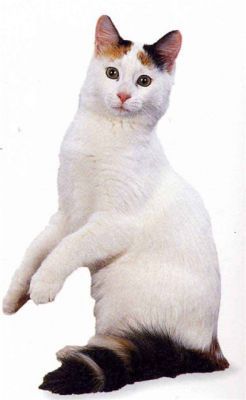 Алена Васина