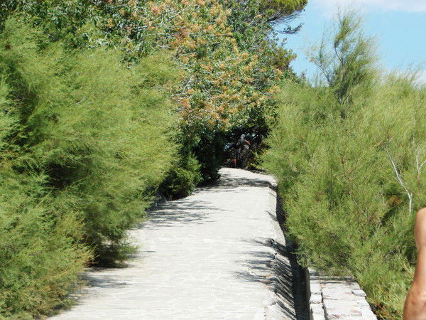 Сергей Дудченко