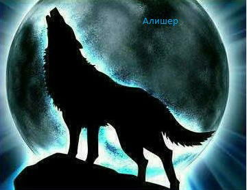 Алишер Макмутов