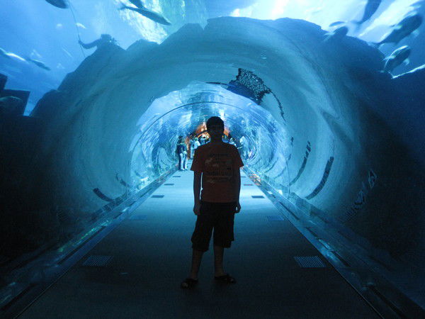 Рустам Османов