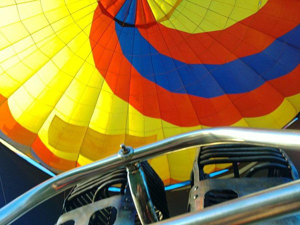 Семья Алисевич