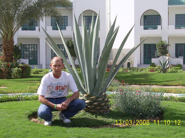 Вован Из Ангрена