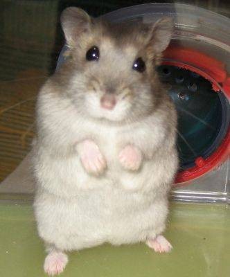 Вика Батусова