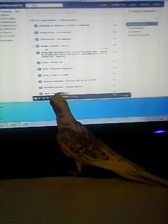 Александр Потапов