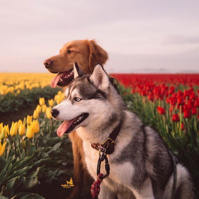 Джульетта Эдиева