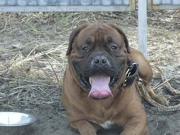 Юрий Еремеев