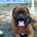 Юрий Еремеев