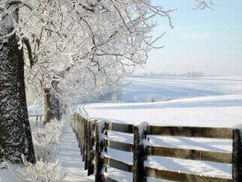 Галина Дубинина