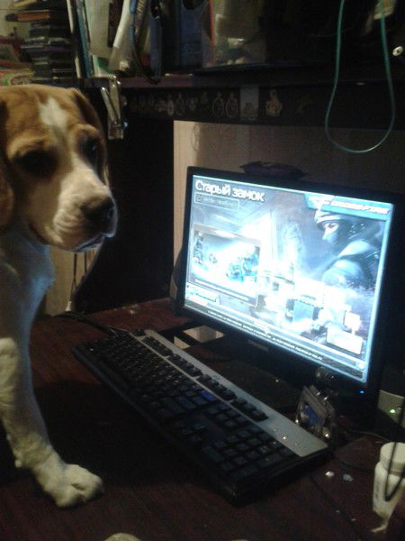 Мохарева Наталия