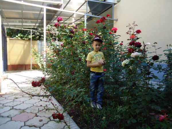 Фёдор Задулин