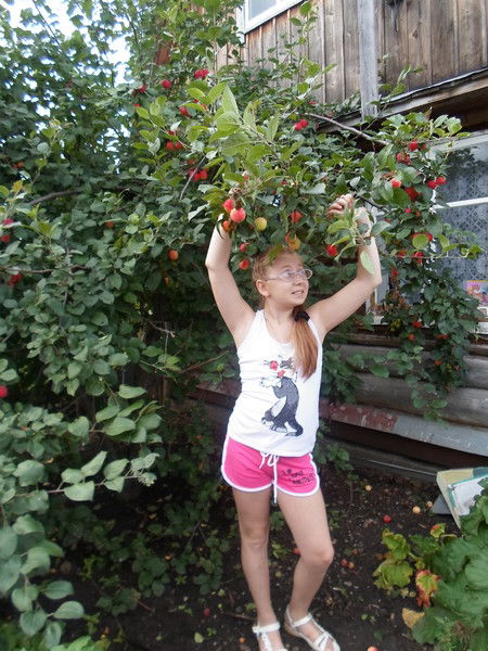 Мышк@ Неизвестно