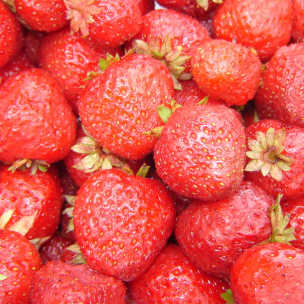 Зиля Мустафина