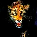 Евгений Байков