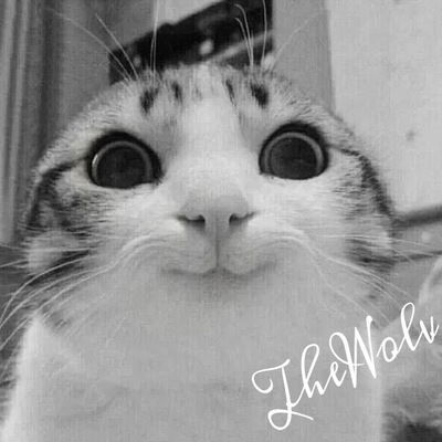 Роман Волков