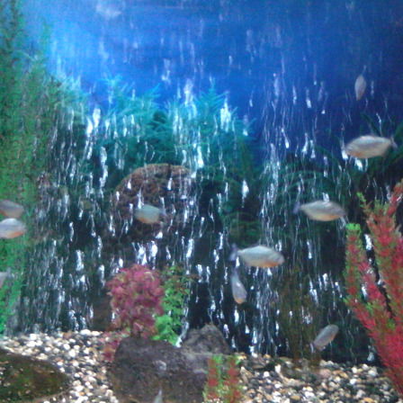 Ольга Винокурова