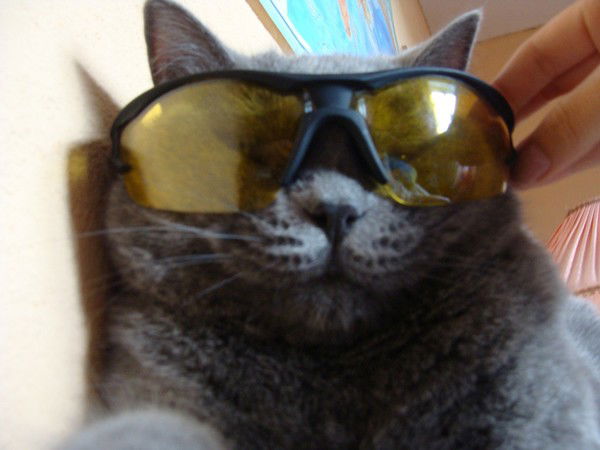 Екатерина Соловьёва