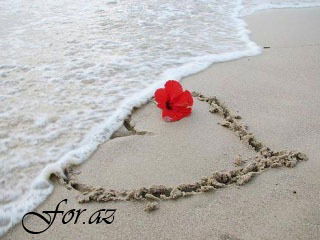 Гульжан Сейтказина