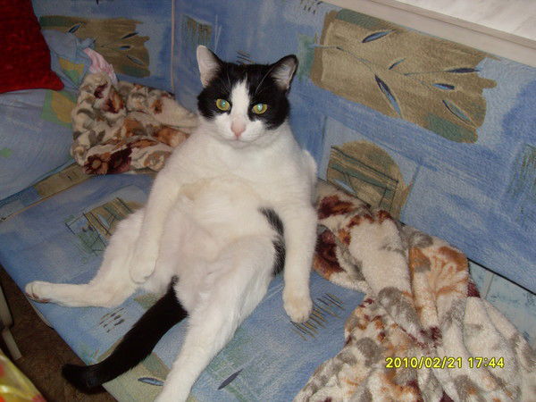 Валентин Подгорнов