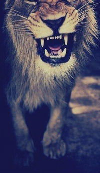 Ольга Евтушенко