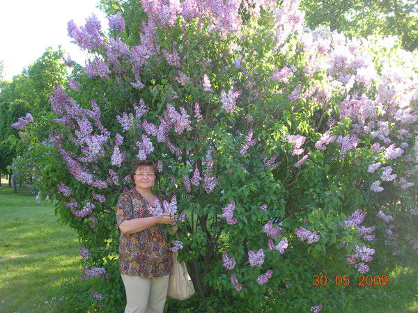 Любовь Фролова