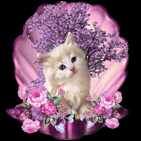 Екатерина Филатова