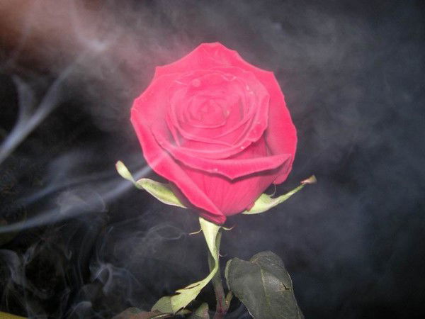 Людмила Клубучкова