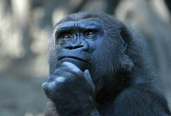 Герман Кровяков