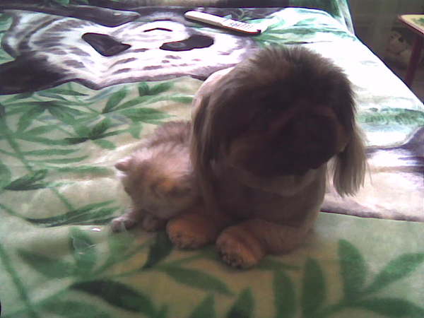 Екатерина Филиппова