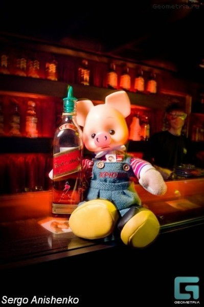 Татьяна Студеникина