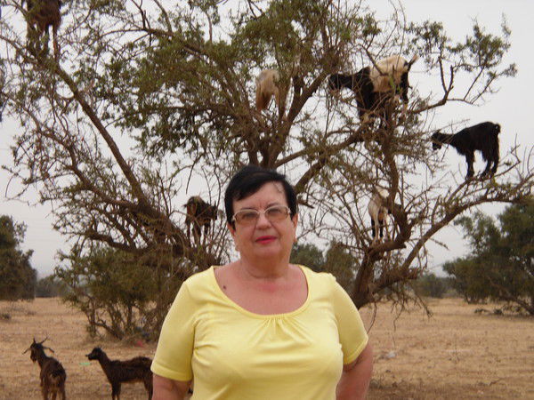 Елена Гончарова(Самарина)