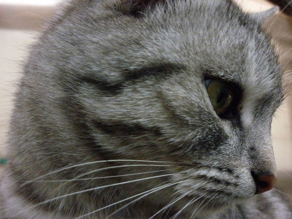 Эдуард Глинин