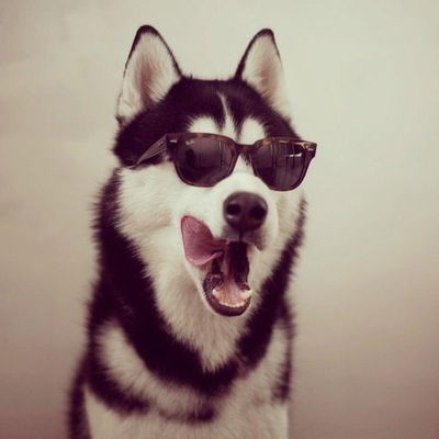 Рома Иванов